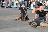 ARRESTATION POLICE 008